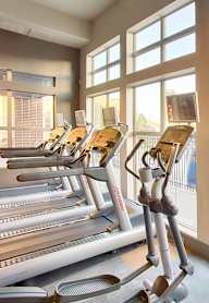A row of treadmills in a gym with a television screen on the wall.