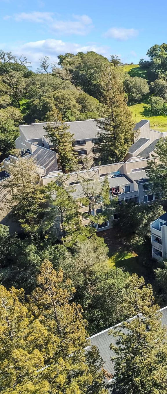 Aerial view of apartment buildings