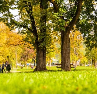 park at The Village of Hyde Park, Michigan