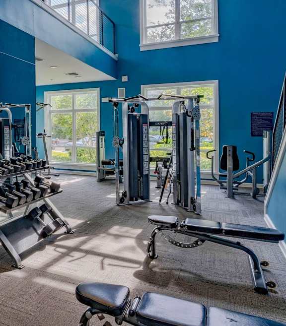 A gym with a variety of equipment including weights and machines.