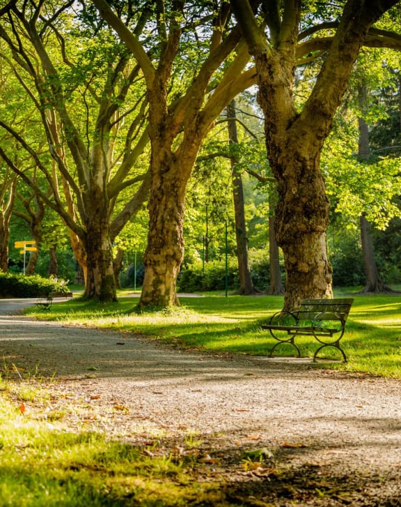 Kings Landing Apartments in Creve Coeur, MO