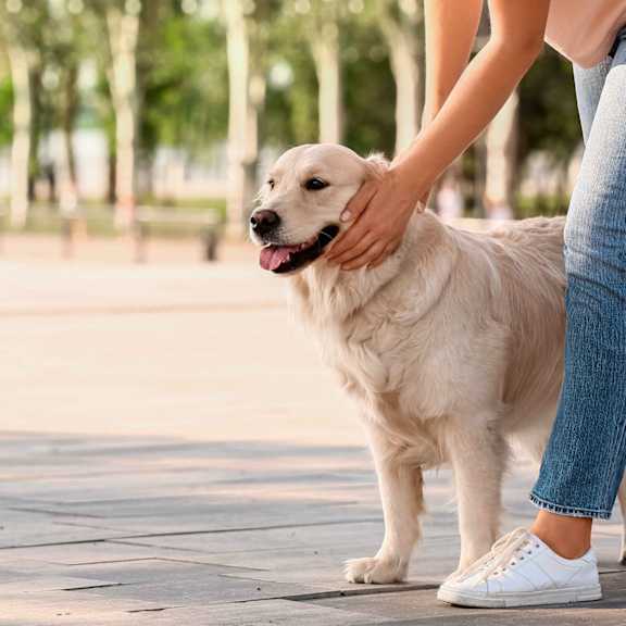 a girl walking a dog at Gateway, Chico, CA