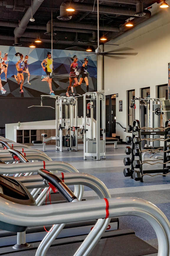 A gym with a variety of equipment including treadmills, weights, and exercise machines.