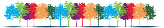 A row of trees with different colored leaves.