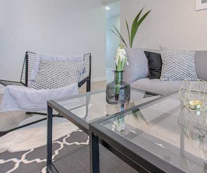 Living room with gray couch and plant