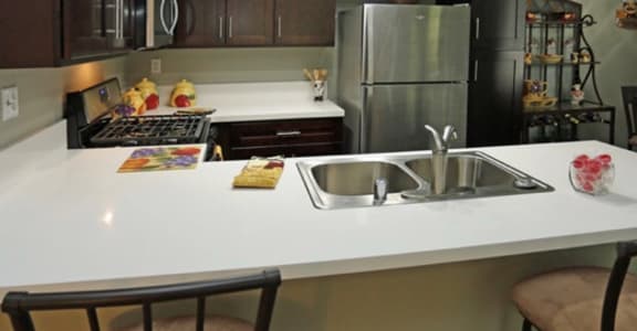 Newly Renovated Kitchens with New Cabinets, Quartz Countertops and Energeny Efficient Stainless Steel Appliances