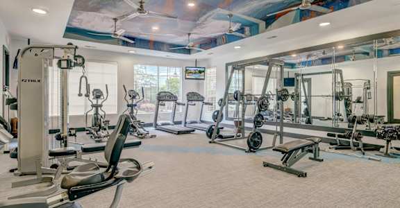 a gym with weights and cardio equipment in a home with a mural on the ceiling