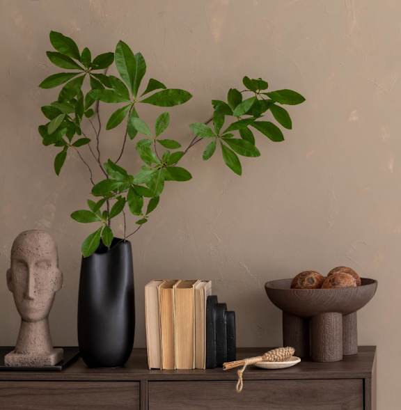 A leafy green plant sits on a wooden table next to a black vase and a small sculpture.