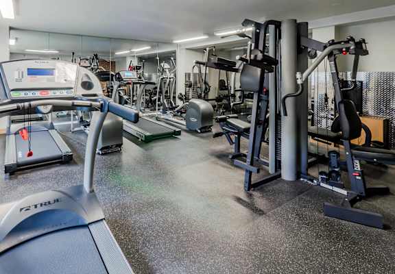 A gym with a treadmill, weights, and exercise equipment.