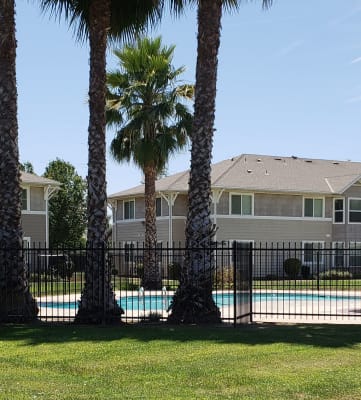 Image of trees, pool, and lawn