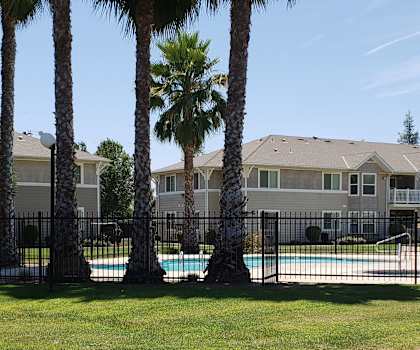 Image of trees, pool, and lawn