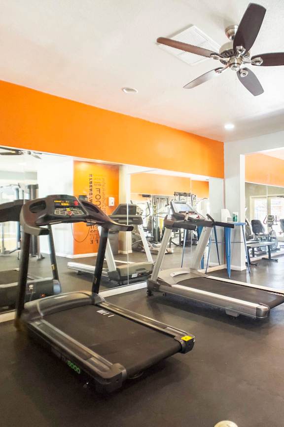 A gym with treadmills, elliptical machines, and a fan.