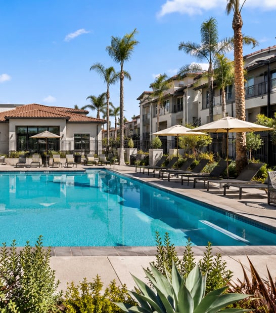 A pool surrounded by palm trees and lounge chairs.