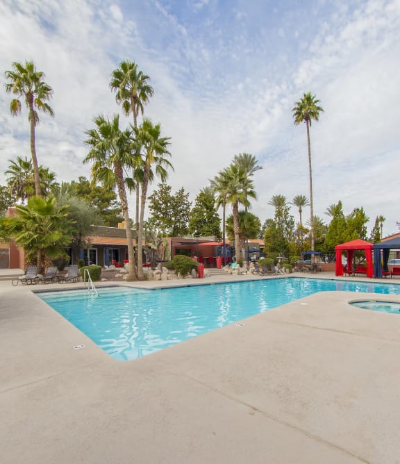 our resort style swimming pool is surrounded by palm trees