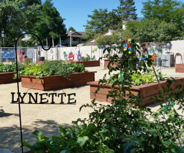 Community Garden