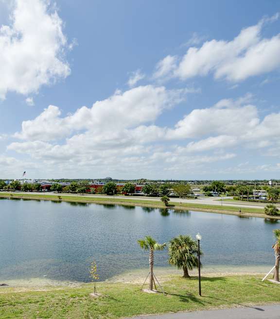 A large body of water surrounded by palm trees and a grassy area.