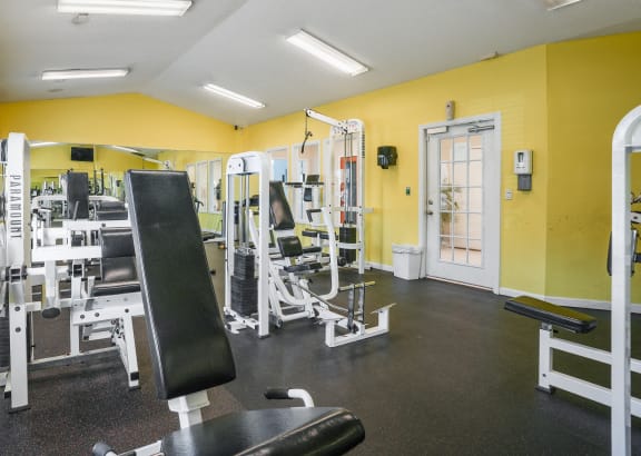 a fitness room with weights and cardio equipment