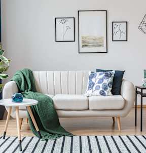 Centerspace Couch  and Rug