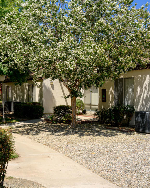 a building with a sidewalk and trees in front of it a white house with trees in front of it