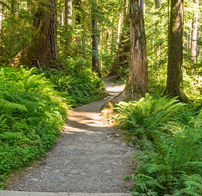 Nature Hiking Trails at Mansfield Meadows Apartments.