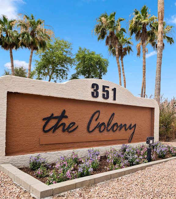 A sign for "The Colony" is surrounded by palm trees.