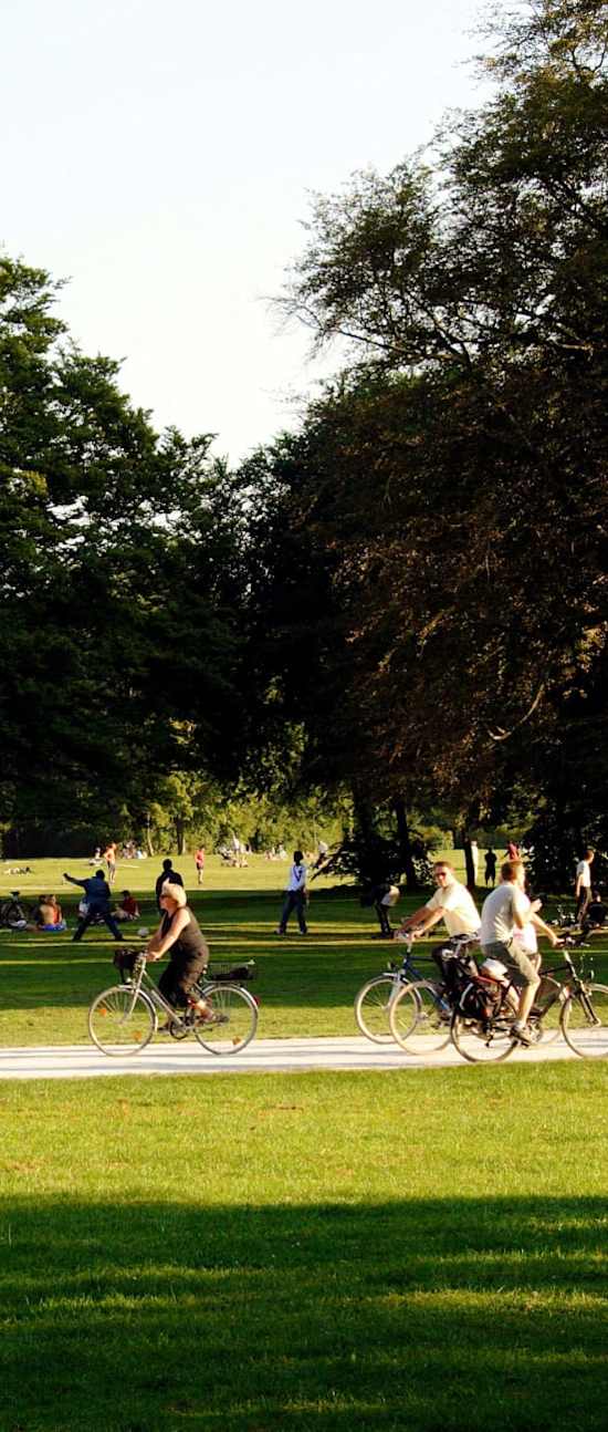 A group of people are riding bikes in a park.