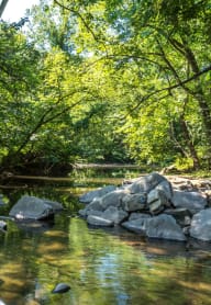 a river with rocks and trees in the background at Seminary Towers, Alexandria, Virginia