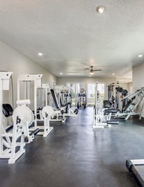 the gym has plenty of cardio equipment and large windows