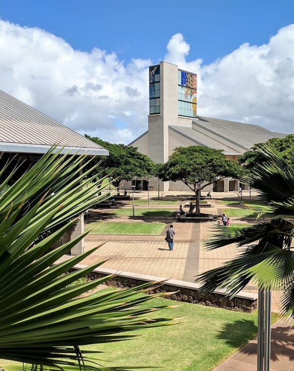 a park with palm trees and a building with a clock tower