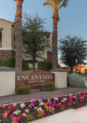 a view of the sign at the entrance to the encantada saguaro national park
