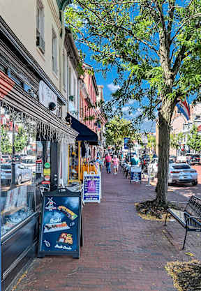 A street view with a bench and trees.