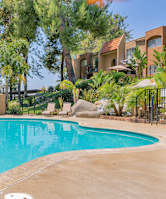 A large swimming pool surrounded by palm trees.