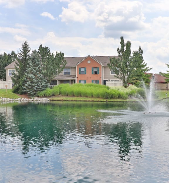 pond