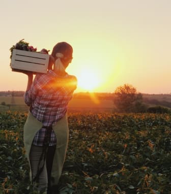 Woman Harvesting Vegetables Watching Sunset