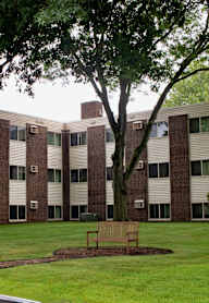 A large tree is in front of a building with a bench in front of it.