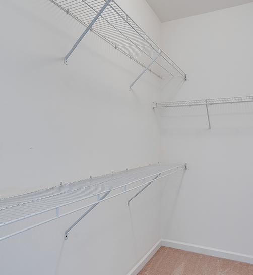 Large Walk In Closet with Multiple Shelves