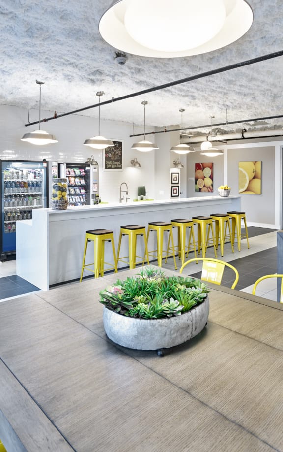 a dining room with yellow chairs and a table with a plant on it