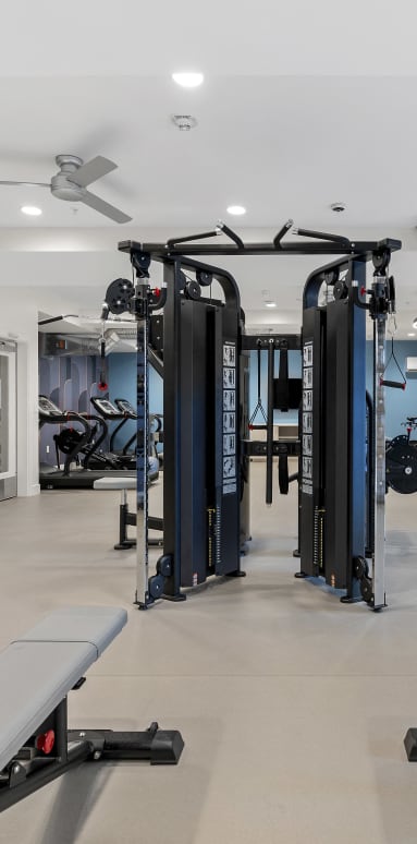 a row of dumbbells in a gym at The Revival, Salt Lake City