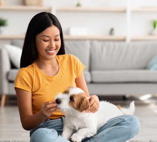 A woman is sitting on the floor with a small white and brown dog.