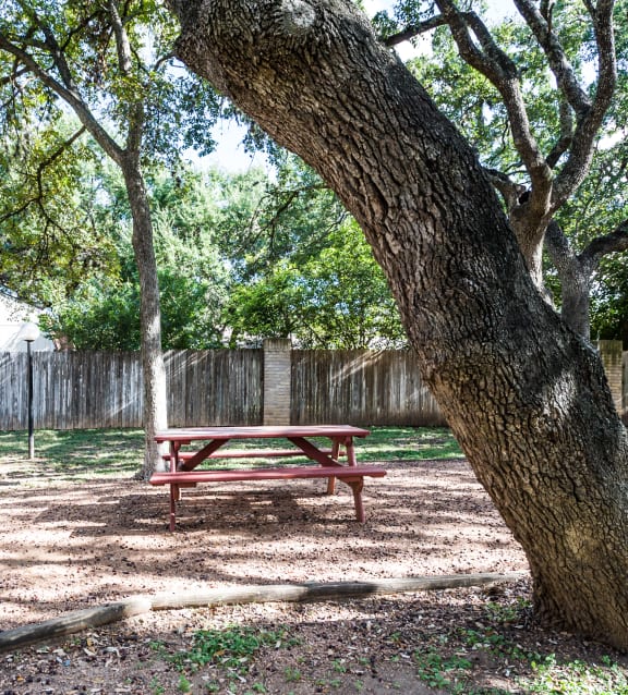 a picnic table under a tree next to a grill