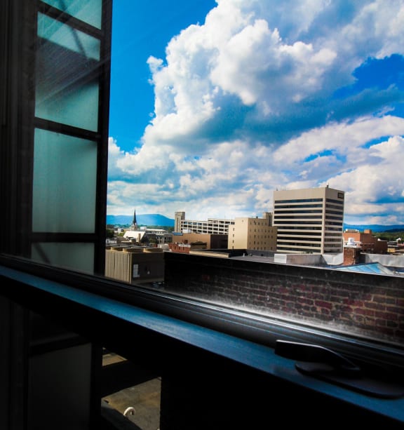 The Patrick Henry Apartments in Roanoke, VA